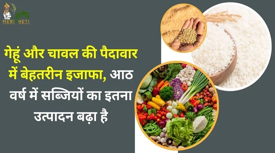गेहूं और चावल की पैदावार में बेहतरीन इजाफा, आठ वर्ष में सब्जियों का इतना उत्पादन बढ़ा है