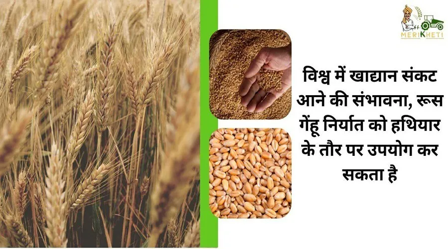 रूस यूक्रेन युद्ध, अनाज का हथियार के तौर पर इस्तेमाल