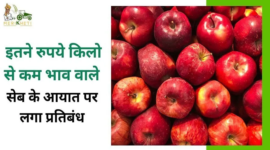इतने रूपये किलो से कम भाव वाले सेब के आयात पर लगा प्रतिबंध