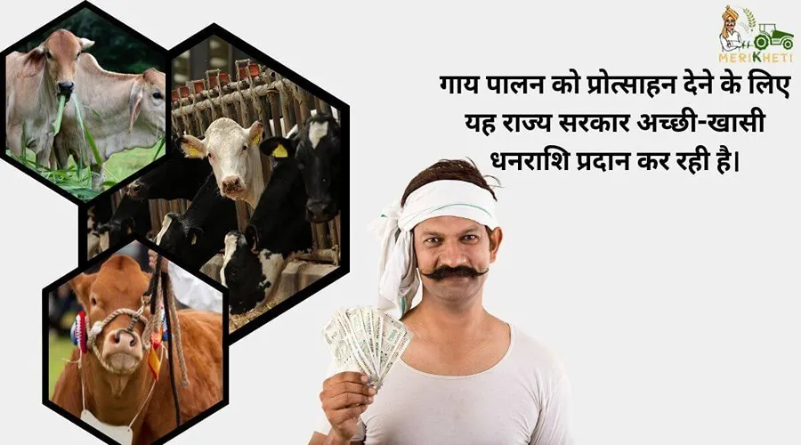 गाय पालन को प्रोत्साहन देने के लिए यह राज्य सरकार अच्छी-खासी धनराशि प्रदान कर रही है।
