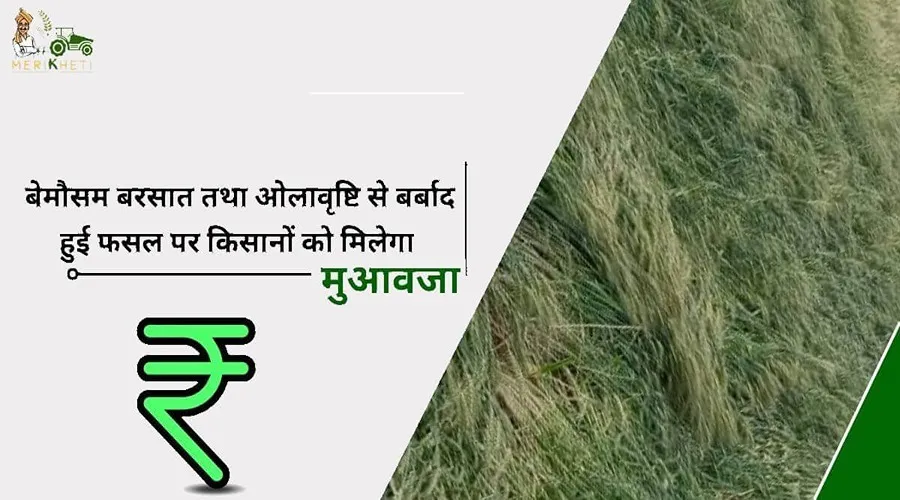 इस राज्य सरकार ने सर्वाधिक फसल क्षति मुआवजा देने का दावा करते हुए, किसानों के खाते में 159 करोड़ भेजे
