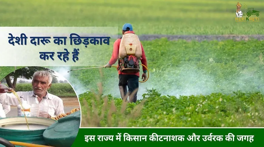 इस राज्य में किसान कीटनाशक और उर्वरक की जगह देशी दारू का छिड़काव कर रहे हैं