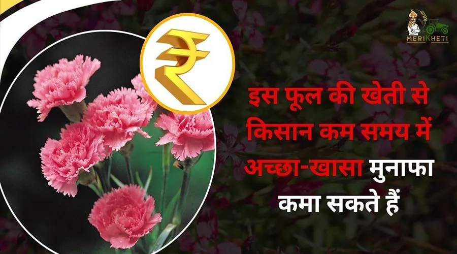 इस फूल की खेती से किसान कम समय में अच्छा-खासा मुनाफा कमा सकते हैं