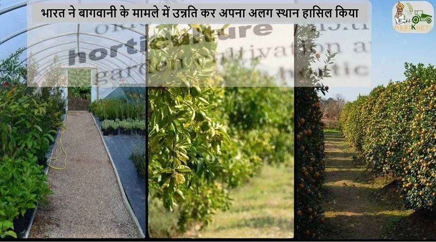 भारत ने बागवानी के मामले में उन्नति कर अपना अलग स्थान हासिल किया