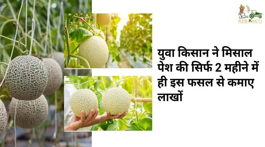 युवा किसान ने मिसाल पेश की सिर्फ 2 महीने में ही इस फसल से कमाए लाखों