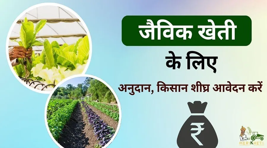 इस राज्य में किसानों को जैविक खेती के लिए मिलेगा अनुदान, किसान शीघ्र आवेदन करें