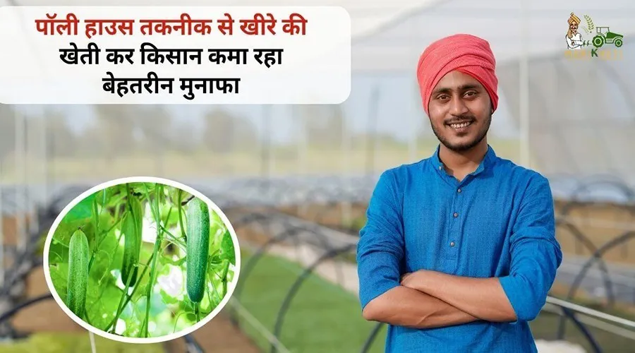 पॉली हाउस तकनीक से खीरे की खेती कर किसान कमा रहा बेहतरीन मुनाफा