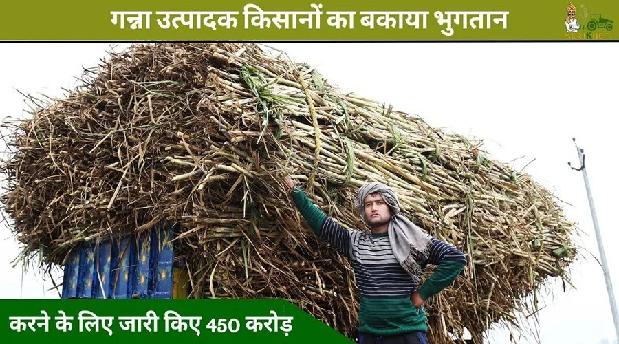 इस राज्य सरकार ने गन्ना उत्पादक किसानों का बकाया भुगतान करने के लिए जारी किए 450 करोड़