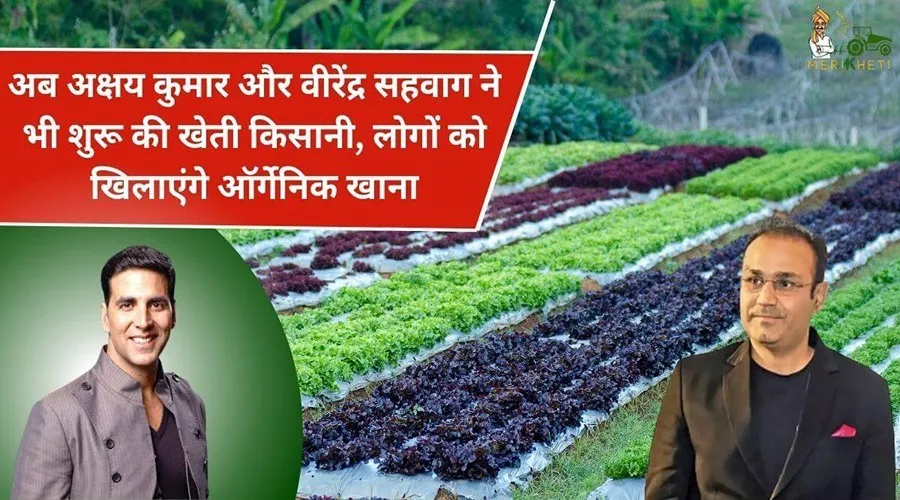 अब अक्षय कुमार और वीरेंद्र सहवाग ने भी शुरू की खेती किसानी, लोगों को खिलाएंगे ऑर्गेनिक खाना