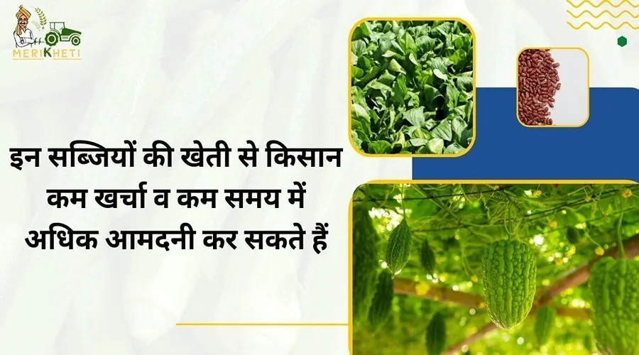 इन सब्जियों की खेती से किसान कम खर्चा व कम समय में अधिक आमदनी कर सकते हैं