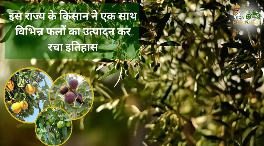 इस राज्य के किसान ने एक साथ विभिन्न फलों का उत्पादन कर रचा इतिहास