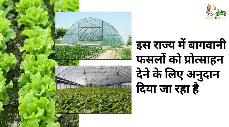 इस राज्य में बागवानी फसलों को प्रोत्साहन देने के लिए अनुदान दिया जा रहा है