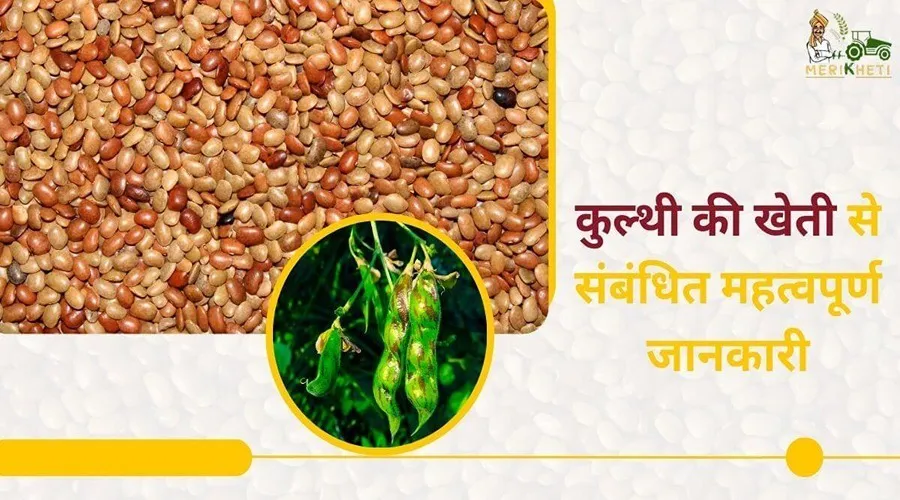 कुल्थी की खेती से संबंधित महत्वपूर्ण जानकारी