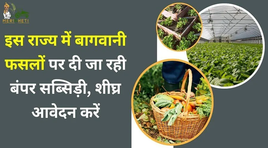 इस राज्य में बागवानी फसलों पर दी जा रही बंपर सब्सिड़ी, शीघ्र आवेदन करें