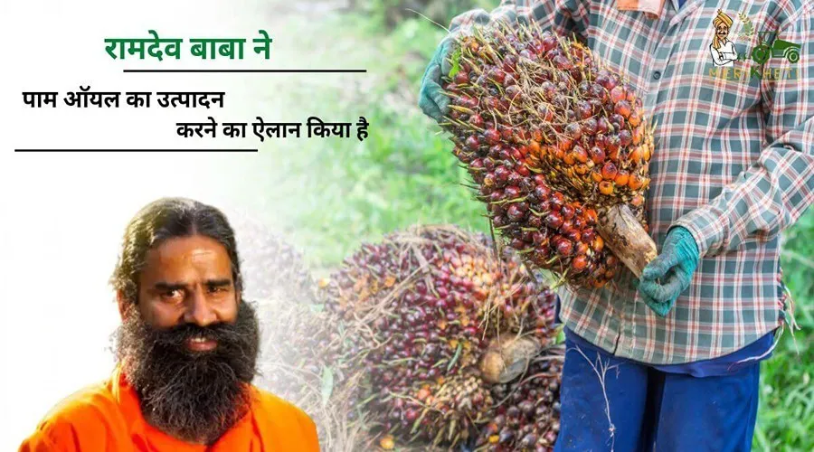 रामदेव बाबा ने पाम ऑयल का उत्पादन करने का ऐलान किया है