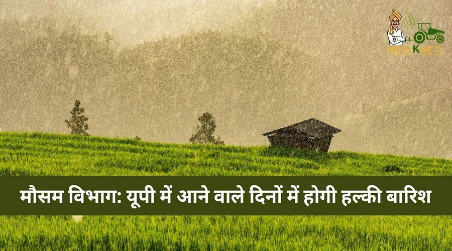 मौसम विभाग: यूपी में आने वाले दिनों में होगी हल्की बारिश