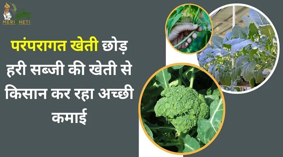 परंपरागत खेती छोड़ हरी सब्जी की खेती से किसान कर रहा अच्छी कमाई