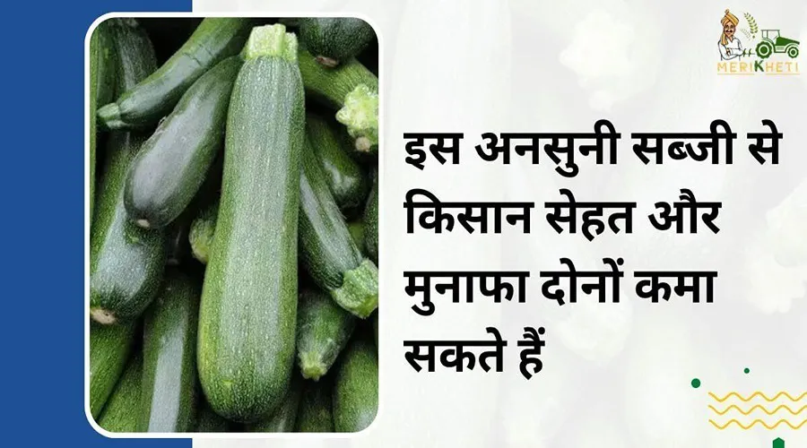 इस अनसुनी सब्जी से किसान सेहत और मुनाफा दोनों कमा सकते हैं
