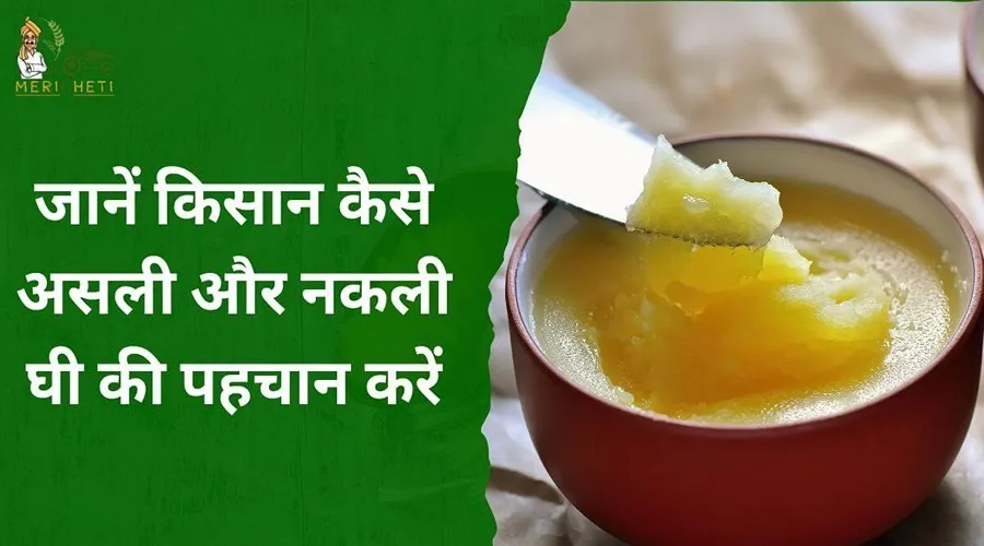 जानें किसान कैसे असली और नकली घी की पहचान करें