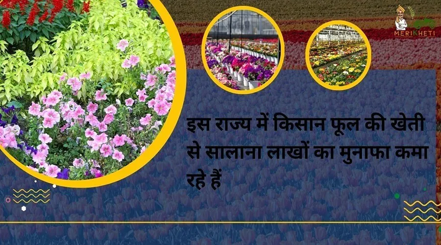 इस राज्य में किसान फूल की खेती से सालाना लाखों का मुनाफा कमा रहे हैं