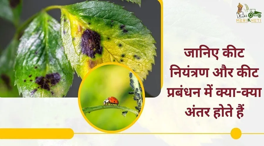जानिए कीट नियंत्रण और कीट प्रबंधन में क्या-क्या अंतर होते हैं
