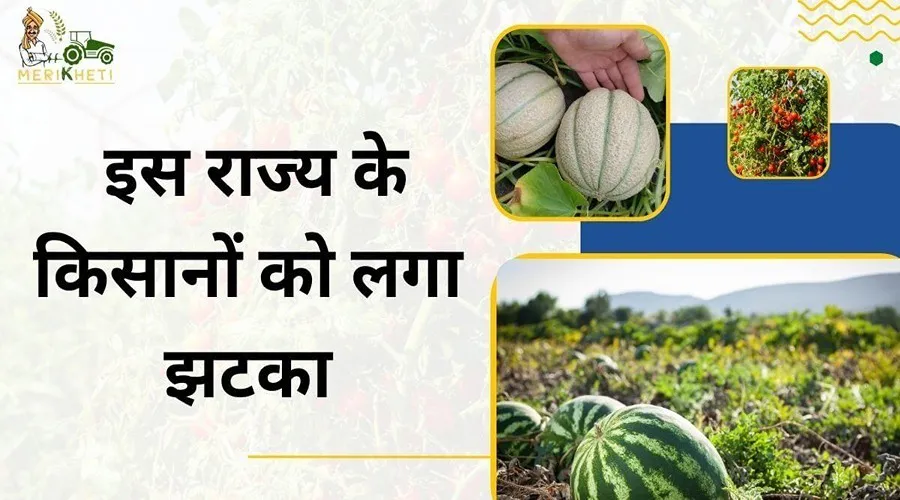 अचानक बारिश से इस राज्य के किसानों को लगा झटका