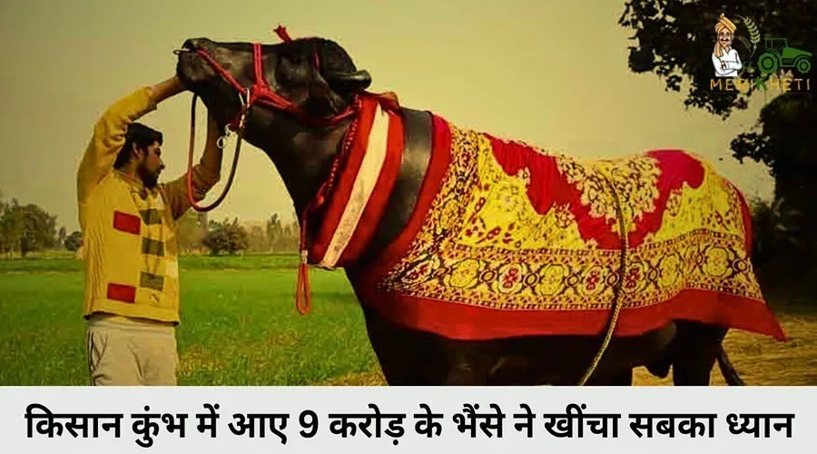 किसान कुंभ में आए 9 करोड़ के भैंसे ने खींचा सबका ध्यान