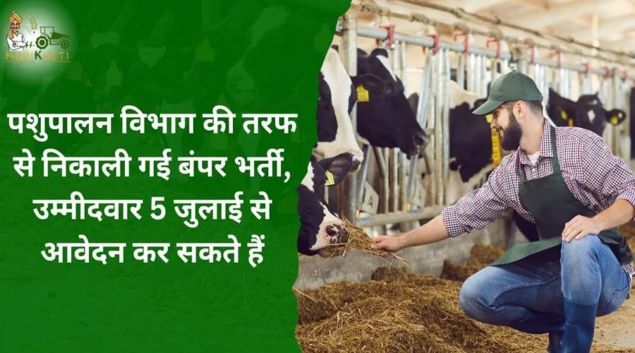 पशुपालन विभाग की तरफ से निकाली गई बंपर भर्ती, उम्मीदवार 5 जुलाई से आवेदन कर सकते हैं