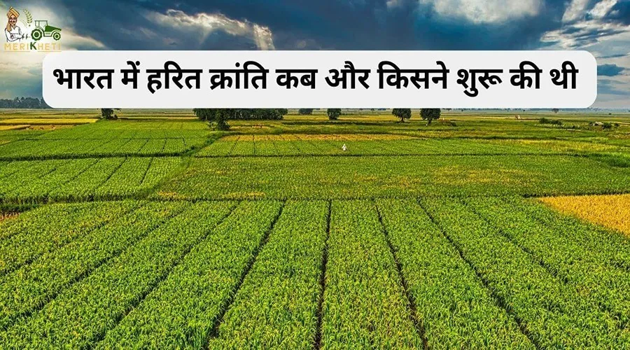 भारत में हरित क्रांति (Green Revolution) कब और किसने शुरू की थी