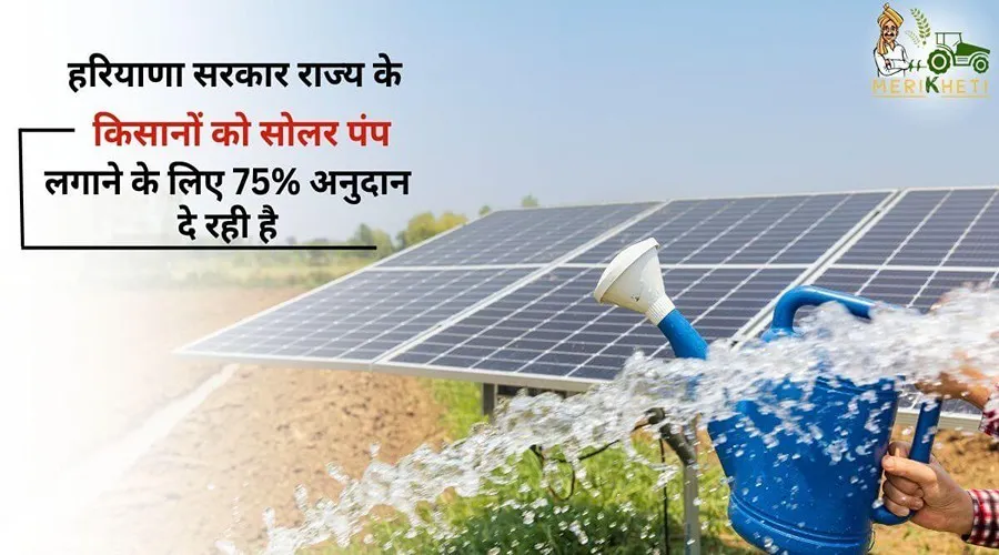 हरियाणा सरकार राज्य के किसानों को सोलर पंप लगाने के लिए 75 % अनुदान दे रही है