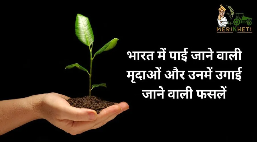 भारत में पाई जाने वाली मृदाओं और उनमें उगाई जाने वाली फसलें
