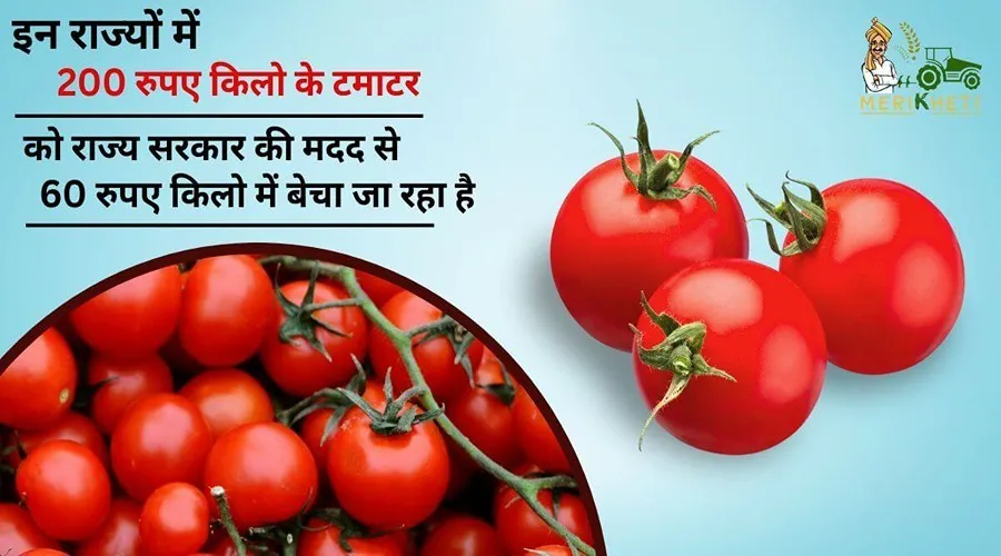 इन राज्यों में 200 रुपए किलो के टमाटर को राज्य सरकार की मदद से 60 रुपए किलो में बेचा जा रहा है