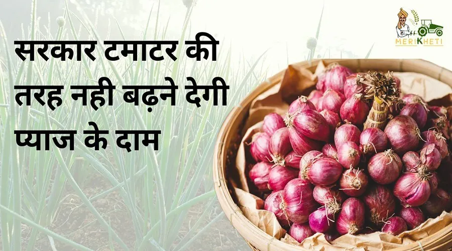 सरकार टमाटर की तरह नही बढ़ने देगी प्याज के दाम