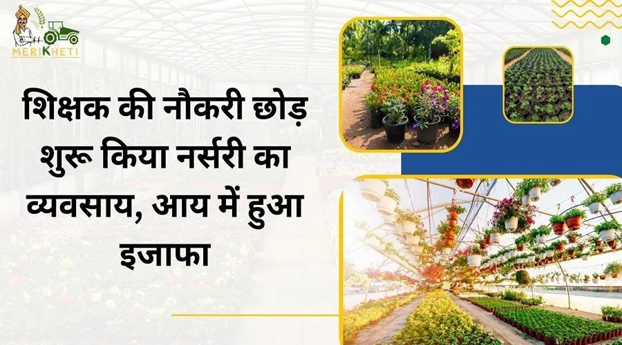शिक्षक की नौकरी छोड़ शुरू किया नर्सरी का व्यवसाय, आय में हुआ इजाफा