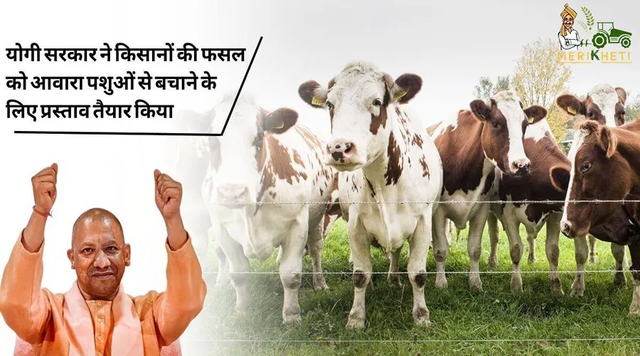 योगी सरकार ने किसानों की फसल को आवारा पशुओं से बचाने के लिए प्रस्ताव तैयार किया