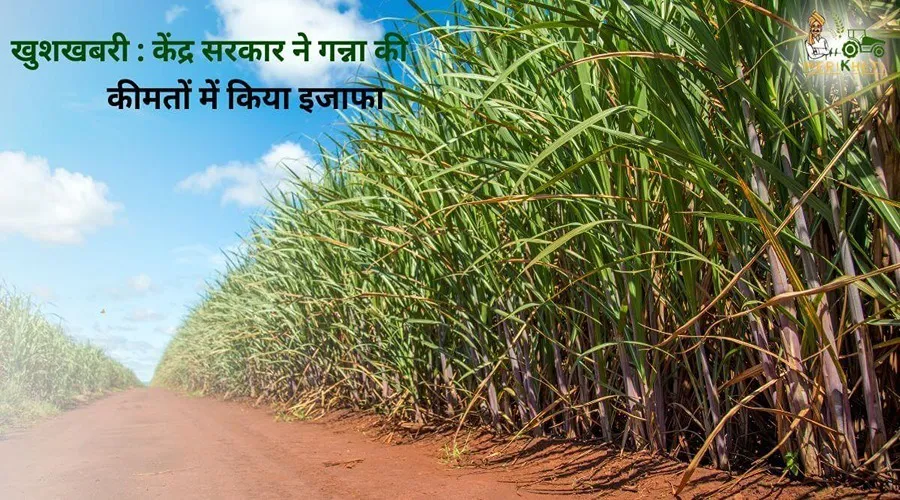 खुशखबरी : केंद्र सरकार ने गन्ना की कीमतों में किया इजाफा