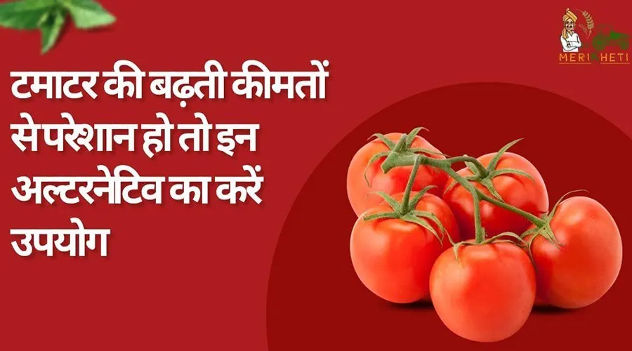 टमाटर की बढ़ती कीमतों से परेशान हो तो इन अल्टरनेटिव (Alternative) का करें उपयोग
