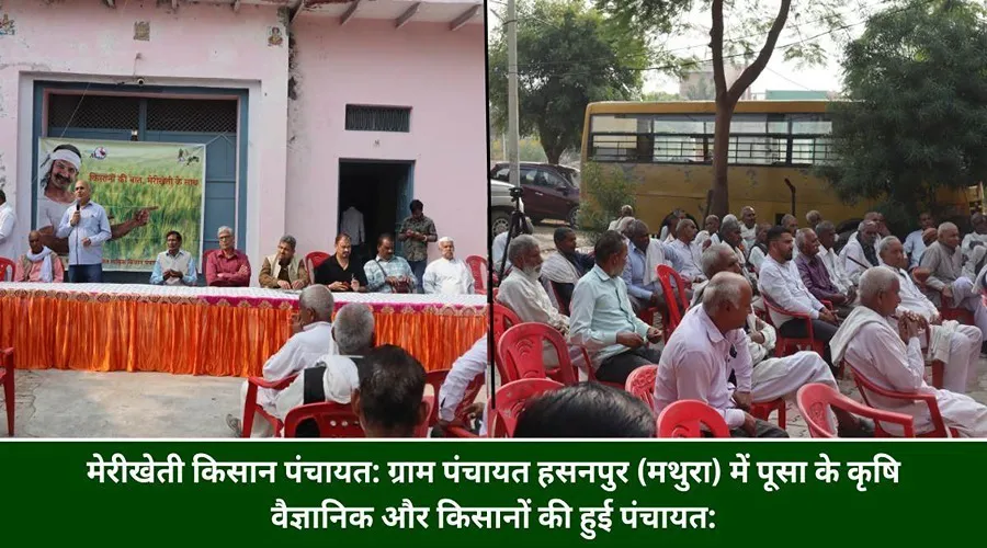 मेरीखेती किसान पंचायत: ग्राम पंचायत हसनपुर (मथुरा) में पूसा के कृषि वैज्ञानिक और किसानों की हुई पंचायत: