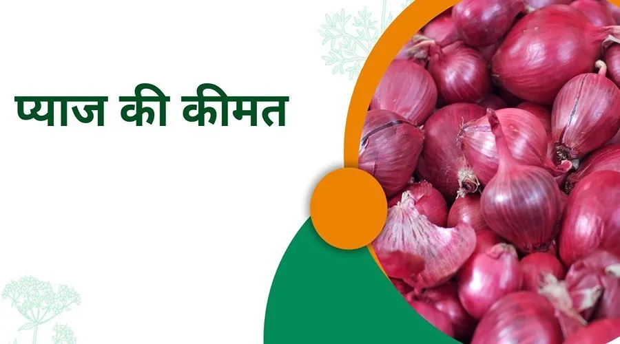 100 पार हुई प्याज की कीमत पर सरकार इस तरह लगाम लगा रही है