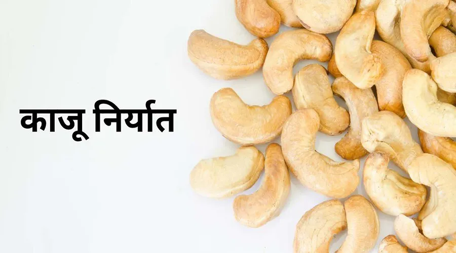 ओडिशा से काजू की पहली खेप बांग्लादेश को APEDA के सहयोग से निर्यात की गई