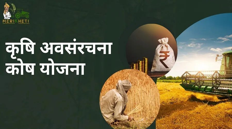 इस योजना के तहत फसलों की ग्रेडिंग-पैकेजिंग हेतु मिलेगी सहायता