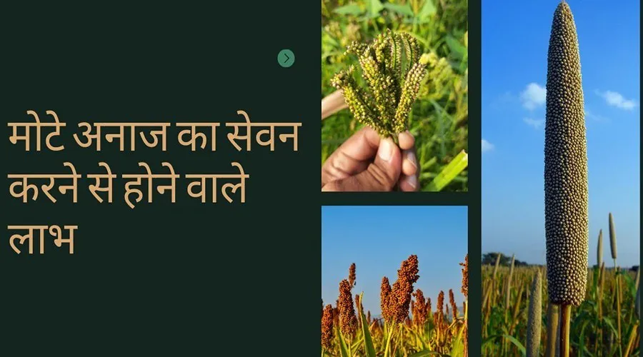 मोटे अनाज यानी ज्वार, बाजरा और रागी का सेवन करने से होने वाले लाभ