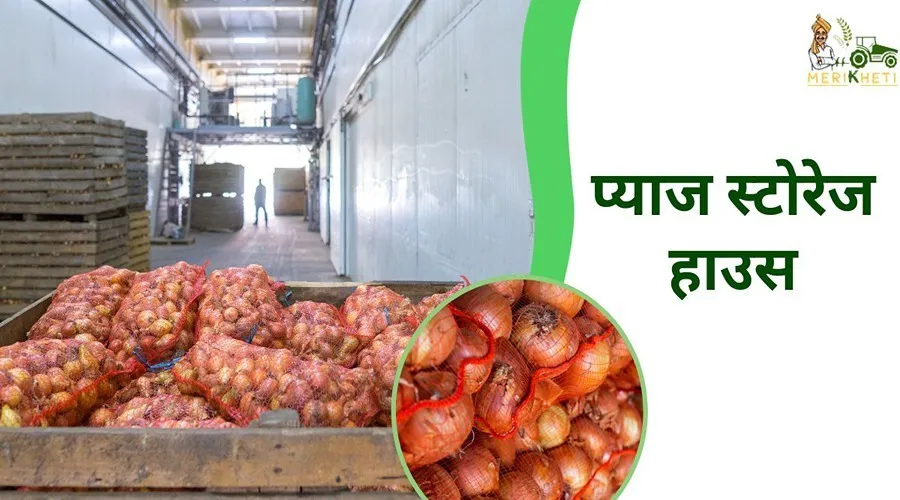 इस राज्य में प्याज स्टोरेज हाउस खोलने पर 75% सब्सिडी
