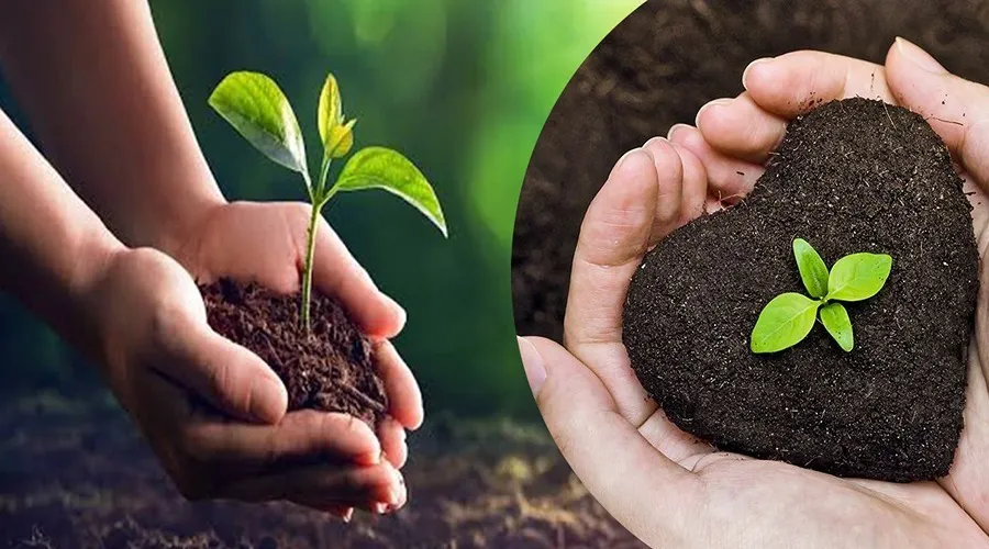 पराली क्यों नहीं जलाना चाहिए? कैसे जानेंगे की आपकी मिट्टी सजीव है की निर्जीव है ?