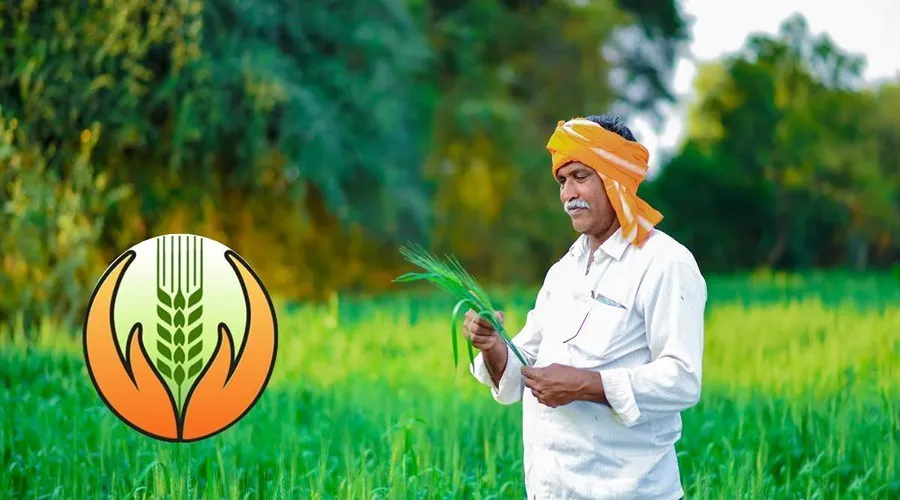 pmfby: पीएम फसल बीमा योजना को लेकर किसानों का क्या कहना है ?