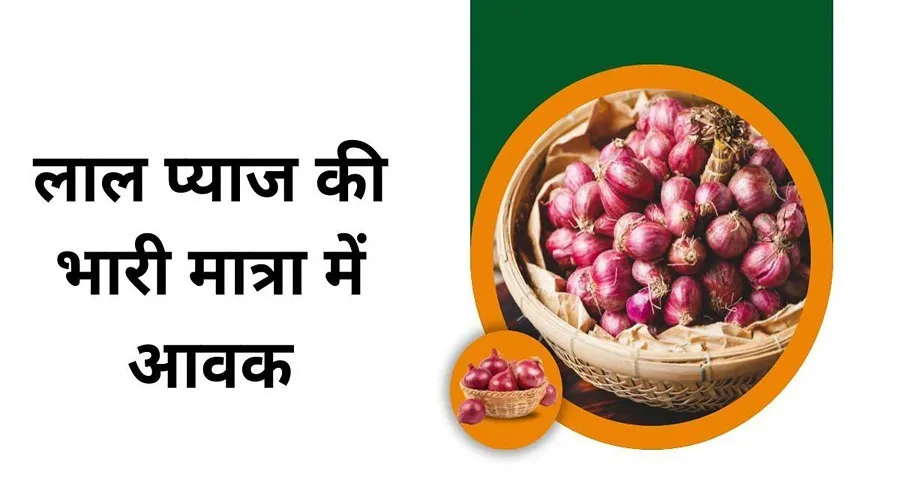  Red onion jammed in the mandis of this state