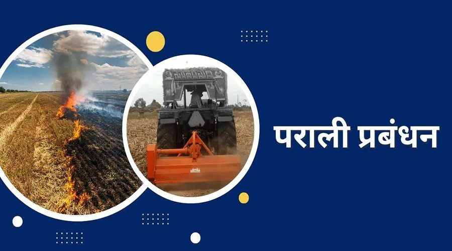 किसान भाई पराली को जलाने की जगह यह उपाय करें