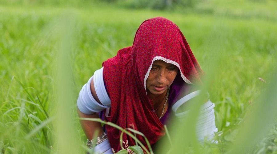 इस योजना को शुरू कर प्रधानमंत्री मोदी ने महिला किसानों का किया सशक्तिकरण