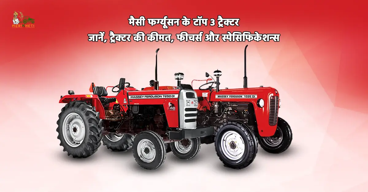 मैसी फर्ग्यूसन के टॉप 3 ट्रैक्टर - जानें, ट्रैक्टर की कीमत, फीचर्स और स्पेसिफिकेशन्स