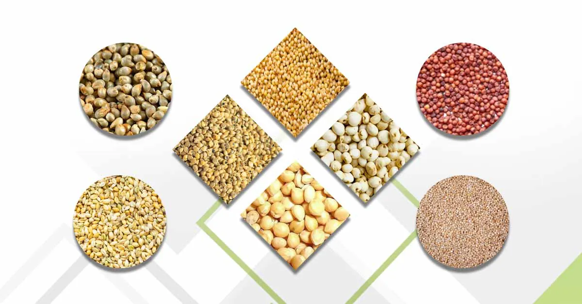 Types of Millets in India: Benefits and Purpose of Cultivating